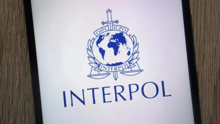 Interpol and law enforcement insignia displayed during an international cybercrime briefing