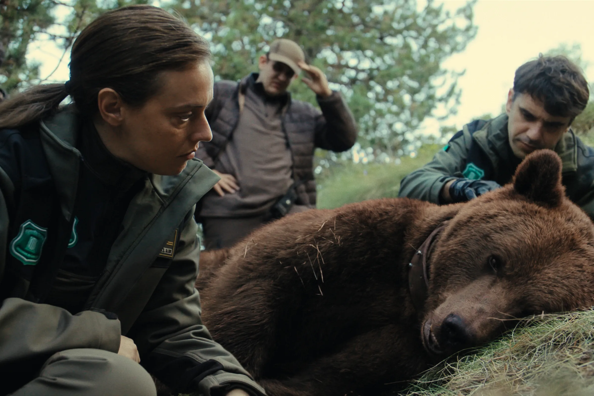 Promotional artwork for the television crime drama series Killing a Bear