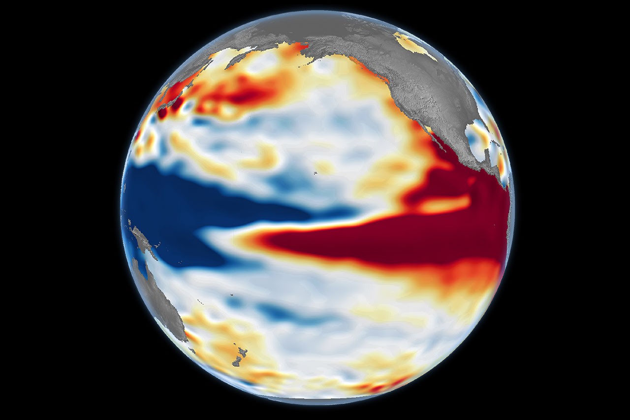 Satellite map showing sea surface height anomalies across the equatorial Pacific Ocean during an El Niño event.