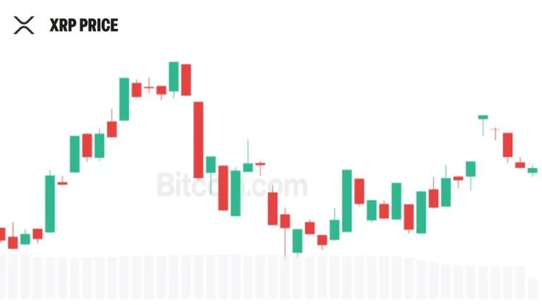 Conceptual illustration of XRP treasury financing through new share issuance