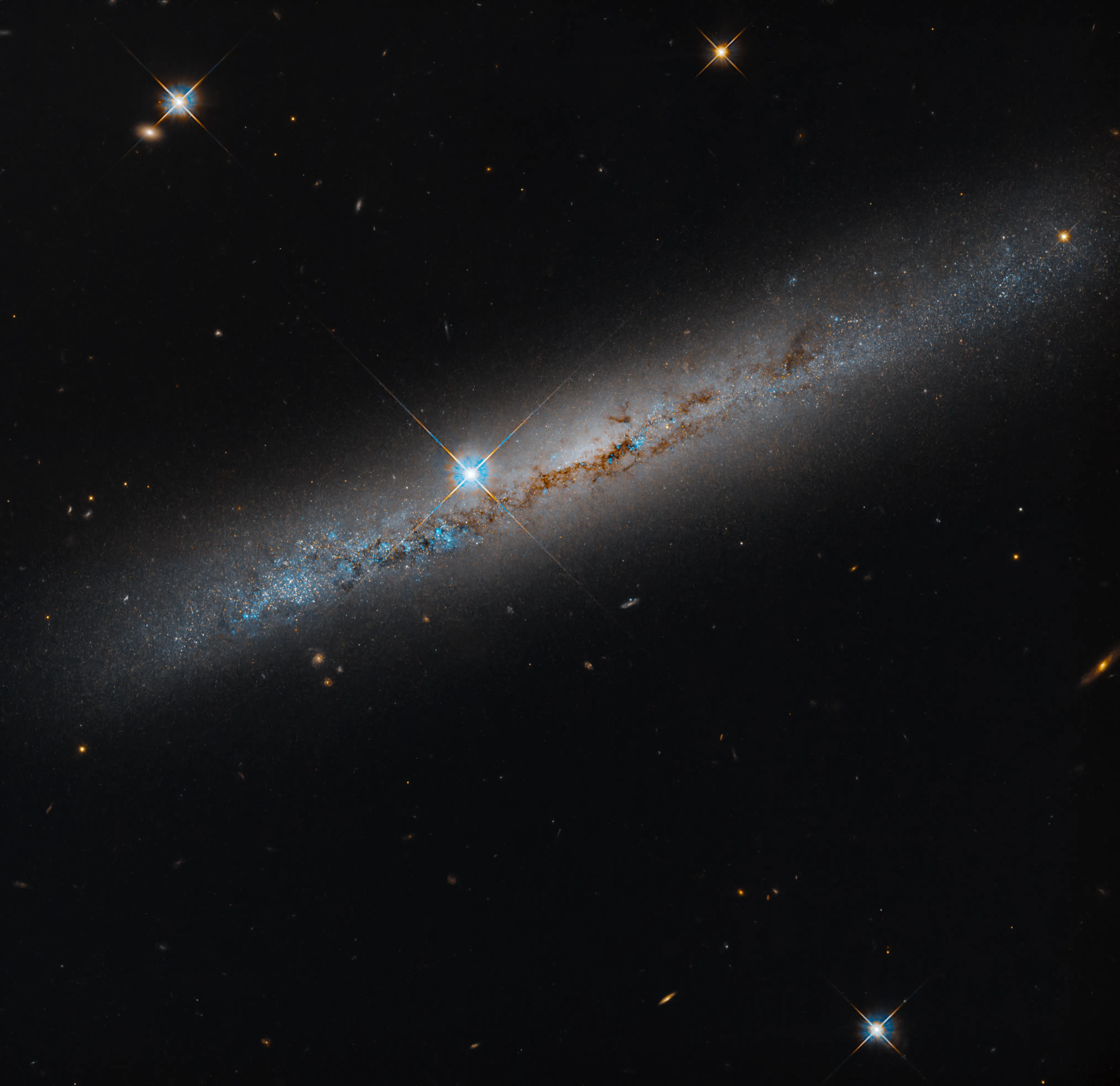 Hubble Space Telescope edge-on view of intermediate spiral galaxy NGC 1827 showing dark dust lanes across its luminous stellar disk.