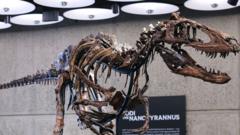 Mounted Nanotyrannus skeleton known as Jodi on display ahead of its New York auction